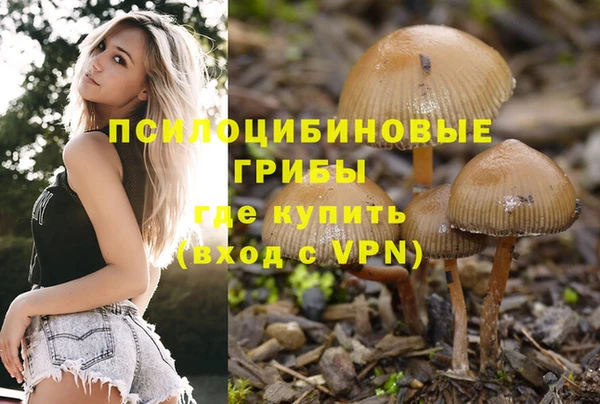 сатива Волосово