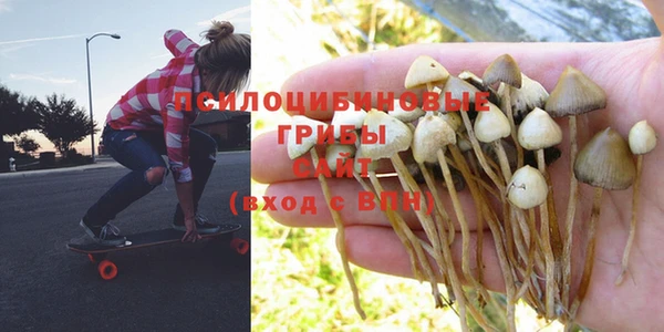 сатива Волосово